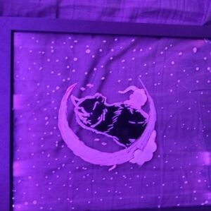 Cat Moon Art